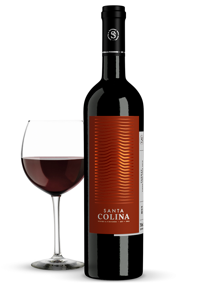 Bebida Vinho Fino Santa Colina Tannat Seco 750 ml - 40094