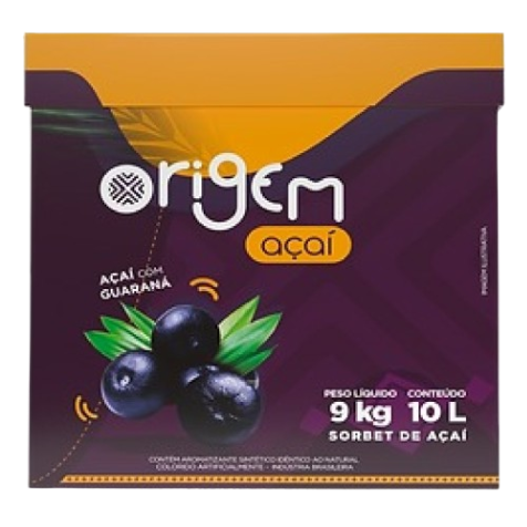 Açai Origem Polpanorte Caixa 9 Kg - 10 Litros - Natural